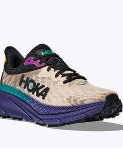 Alternative view of Challenger 7 Hommes - Gruau / Iris des montagnes