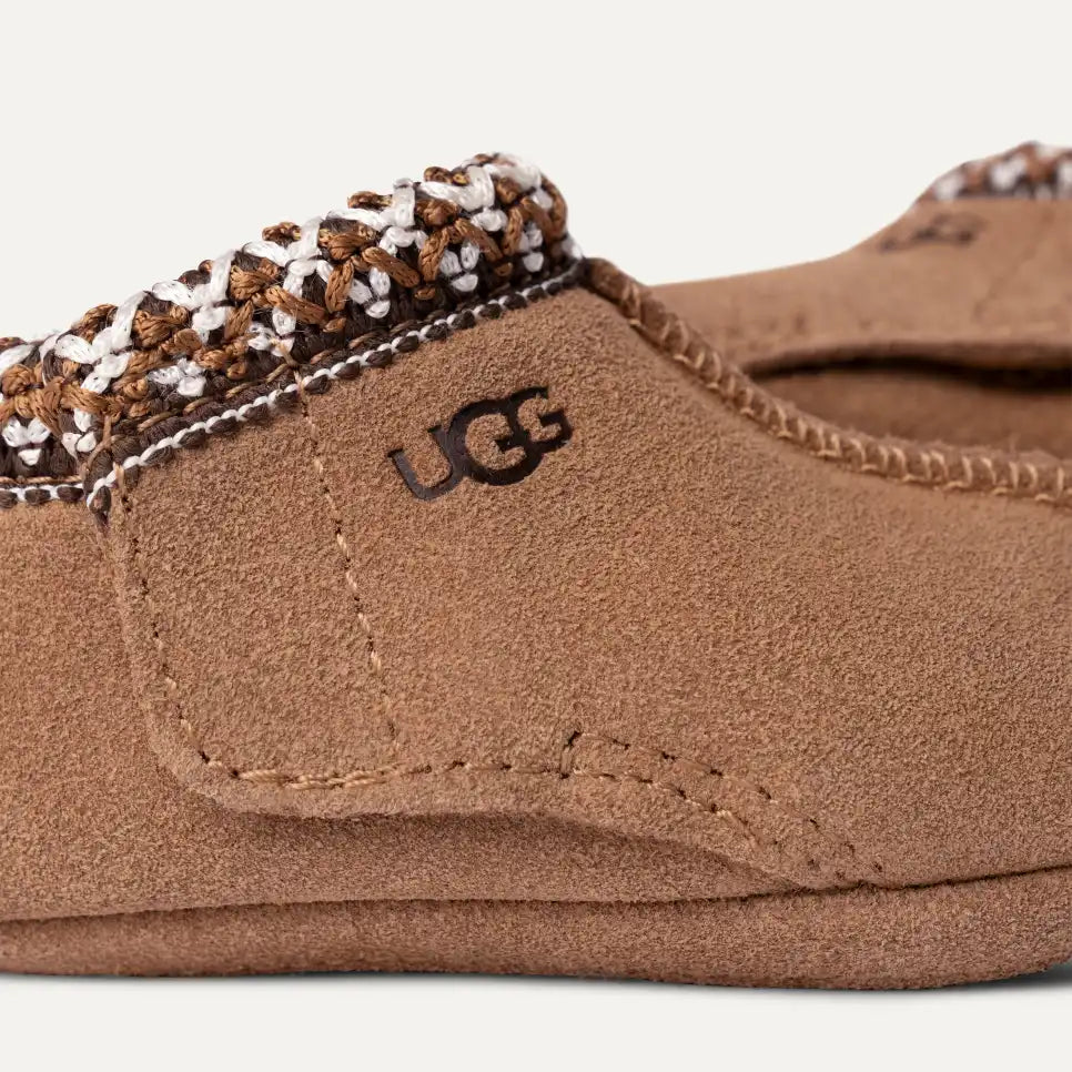 Baby Tasman - Image 3