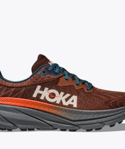 Challenger 7 Hommes - Brun min¨¦ral / Ast¨¦ro?de