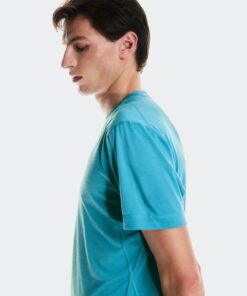 Alternative view of Train-T