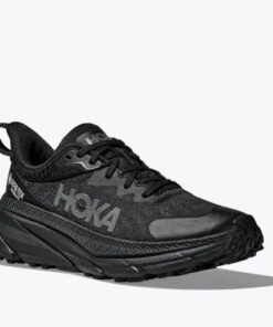 Alternative view of Challenger 7 GORE-TEX  Femmes